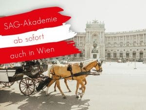 Horse carriage in front of Vienna historical building.